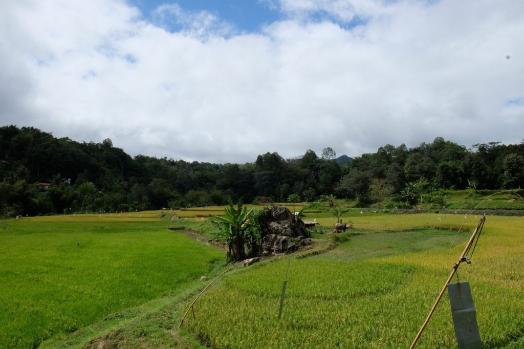 Indonesien - Tana Toraja