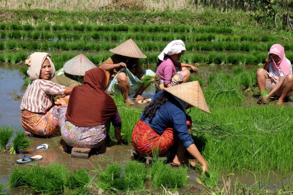 Indonesien Lombok Frauen