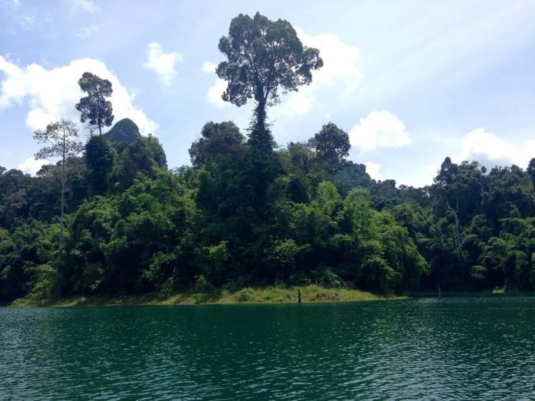 Natur Kao Sok Nationalpark Surat Thani - Thailand