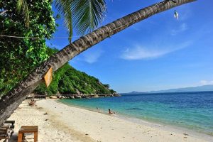 Koh Pha Ngan Strand mit Palme