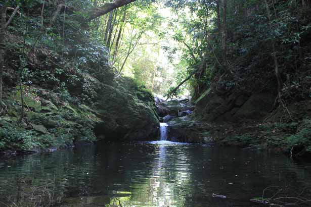 Vietnam - Bach Ma-Nationalpark