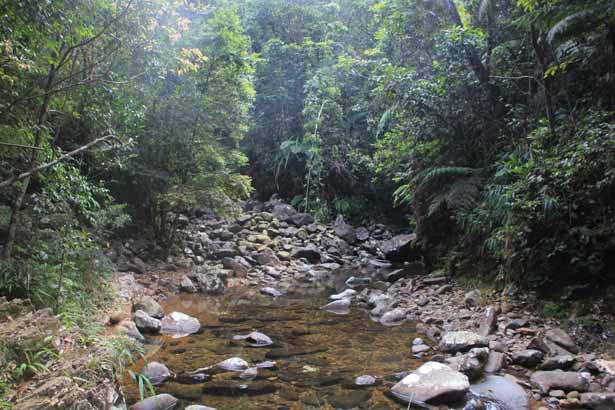 Vietnam - Bach Ma-Nationalpark