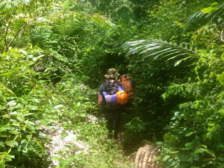 Vietnam Phong Nha Dschungel