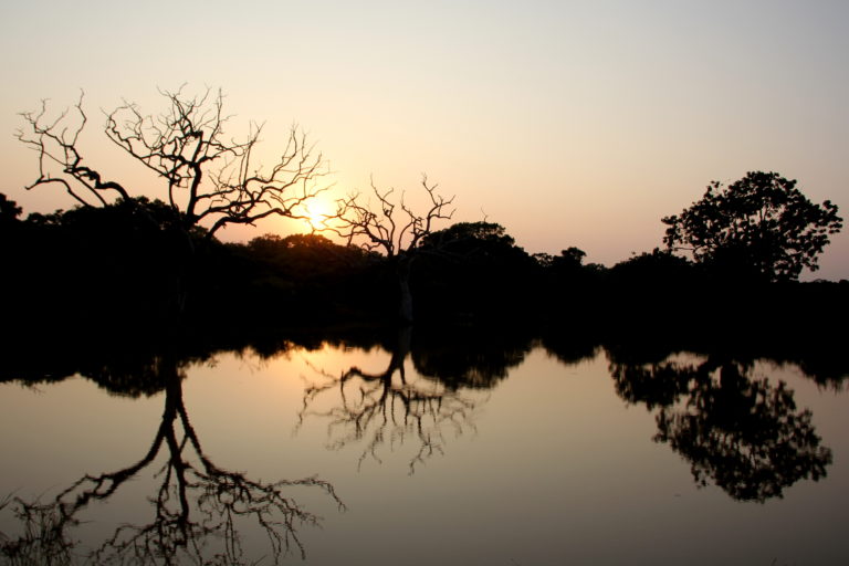 Sri Lanka Yala NP Sonnenuntergang