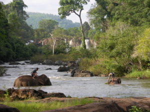 Laos Bolaven Plateau