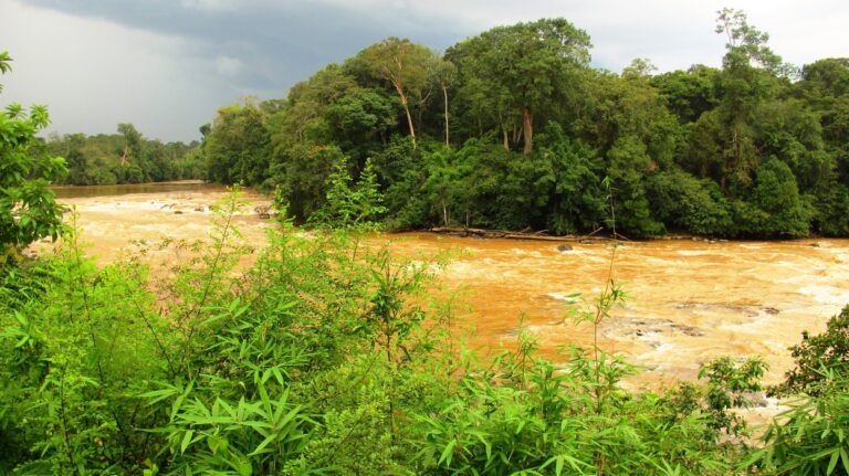 Cat Tien Nationalpark Fluss