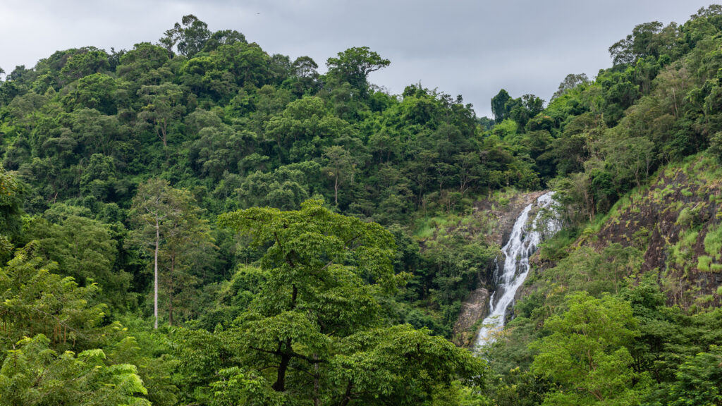 Khao Sok Nationalpark Wasserfall im Dschungel