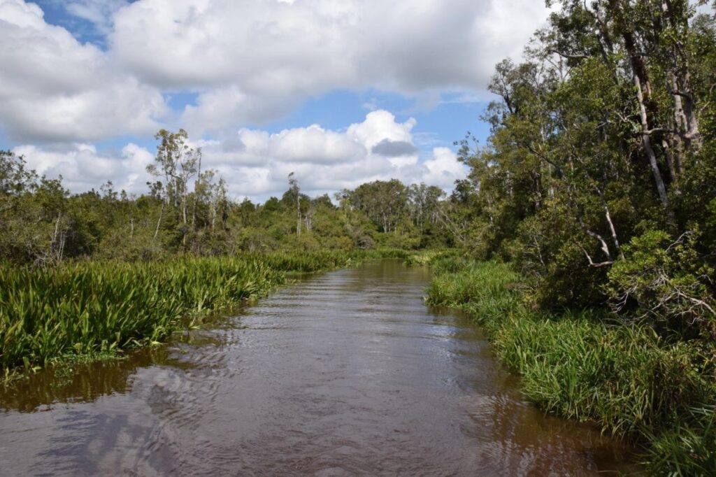 Tanjung Puting Nationalpark Bootsfahrt