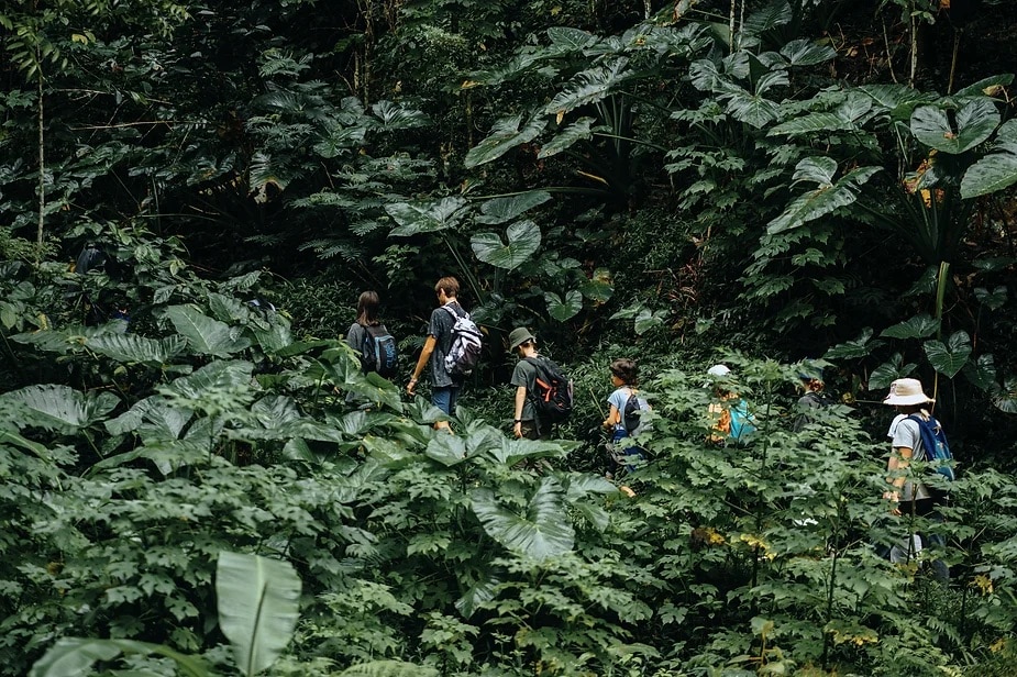 Bali Astungkara Way Impact Reise Dschungeltrekking