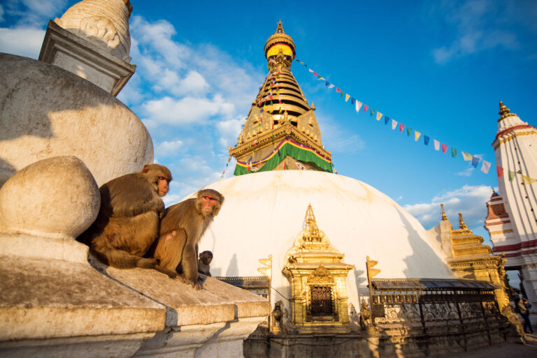 Kathmandu Affentempel