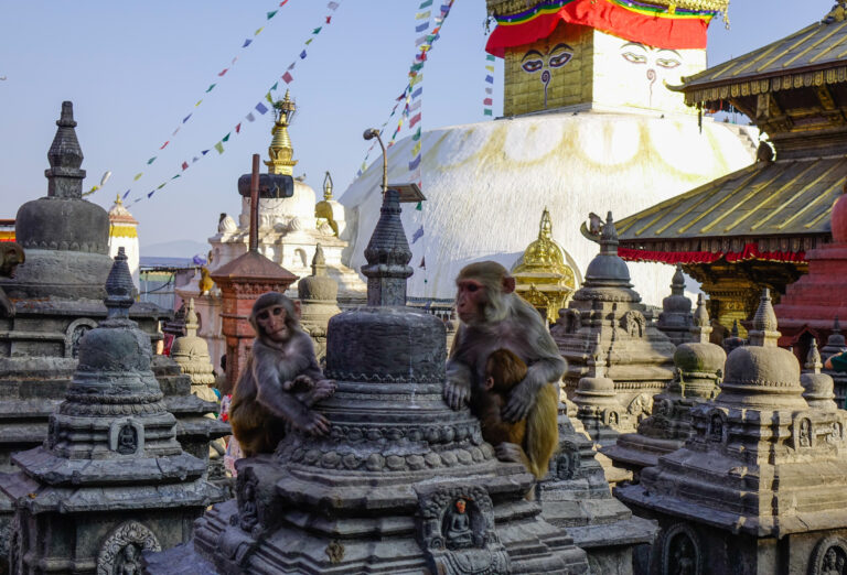 Kathmandu Affentempel