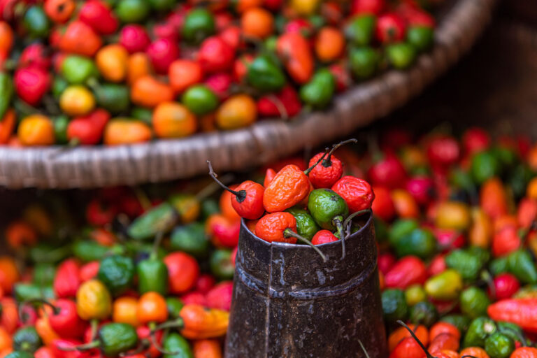 Kathmandu Bazar Chilli