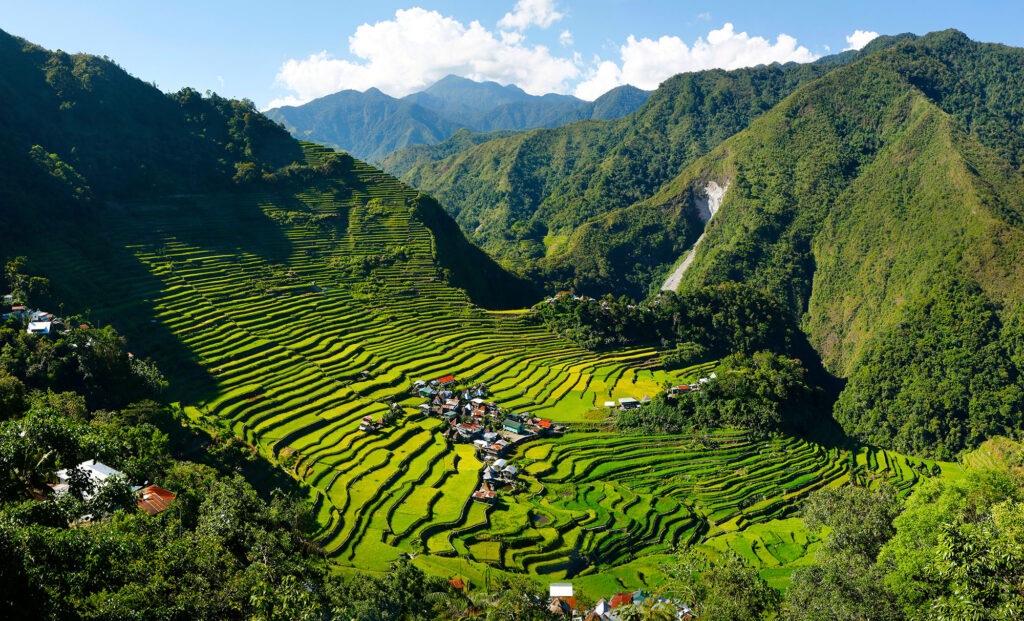 Reisterrassen Cordilleras grüne Landschaft