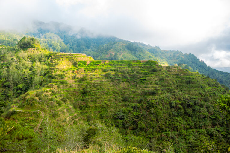 Reisterrassen Cordilleras Reisanbau und Überschwemmung