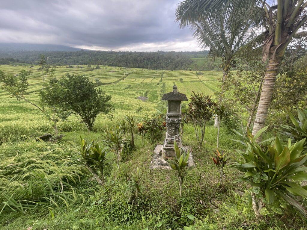 Subak Ausblick über Felder