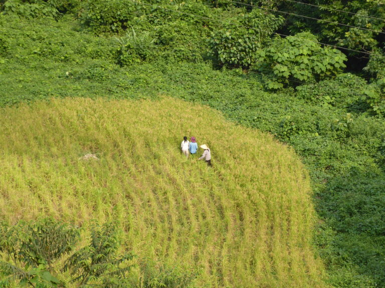 Ha Giang Reisernte