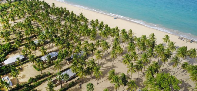 Sri Lanka Karpaha Sands Palmengesäumter Strand